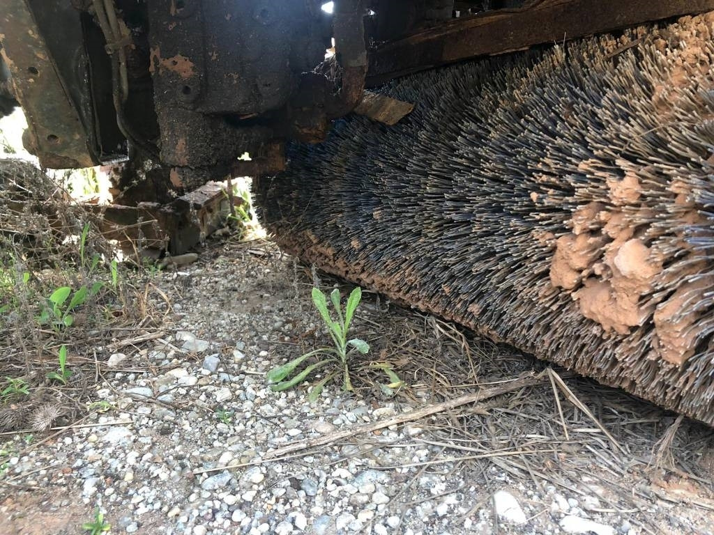 Scarab Minor VM - מטאטא כבישים: תמונה 4 Scarab Minor VM - מטאטא כבישים: תמונה 4