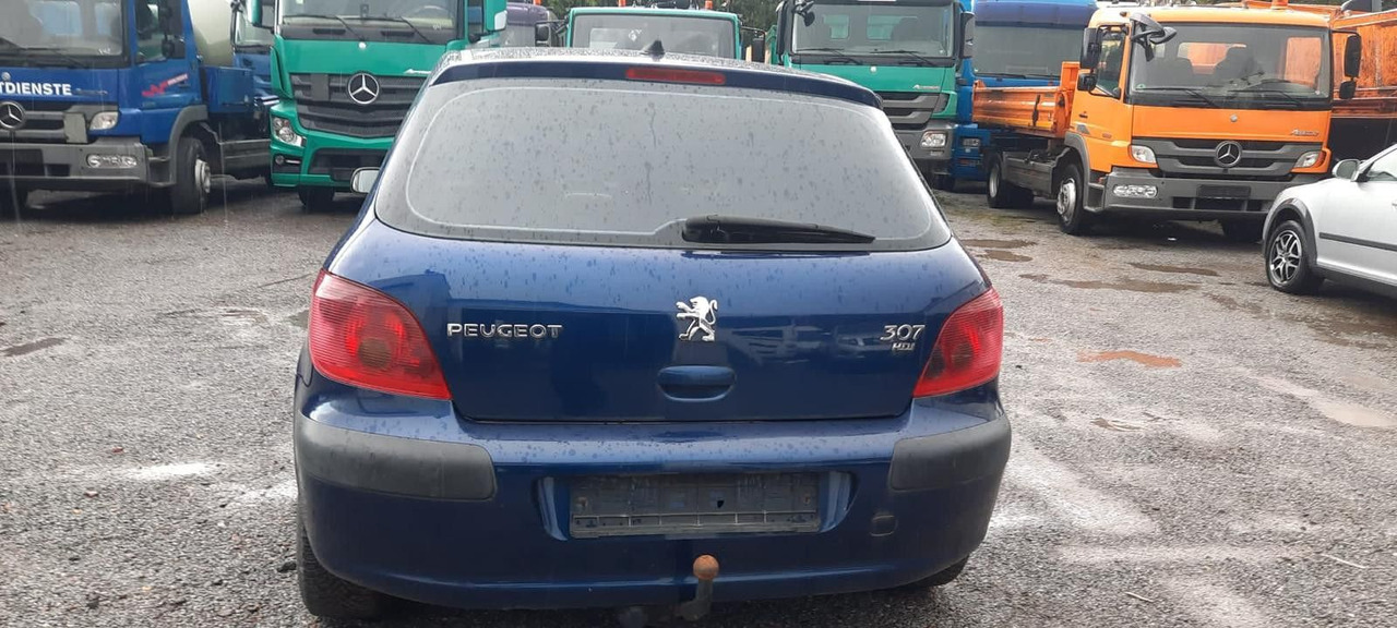 Peugeot 307 Grand Filou - סדאן: תמונה 4 Peugeot 307 Grand Filou - סדאן: תמונה 4