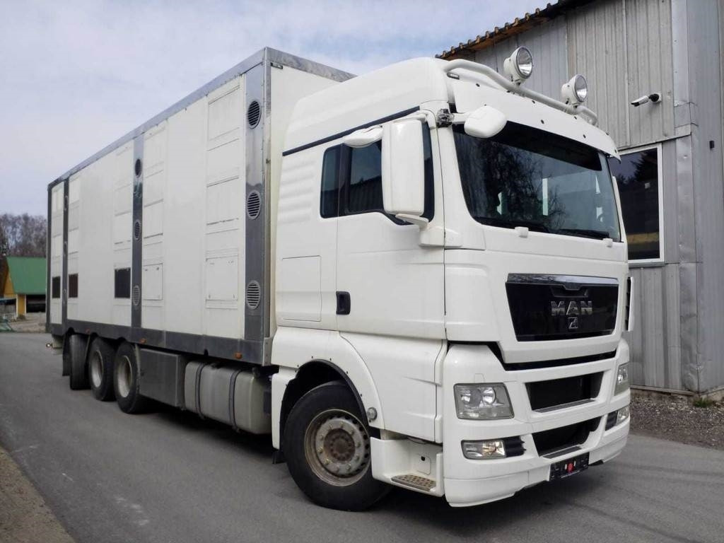 MAN TGX 35.540 8X4 TRIDEM ANIMAL - משאית להובלת בעלי חיים: תמונה 4 MAN TGX 35.540 8X4 TRIDEM ANIMAL - משאית להובלת בעלי חיים: תמונה 4