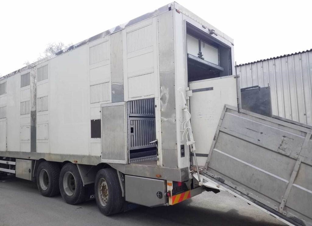 MAN TGX 35.540 8X4 TRIDEM ANIMAL  - משאית להובלת בעלי חיים: תמונה 5 MAN TGX 35.540 8X4 TRIDEM ANIMAL  - משאית להובלת בעלי חיים: תמונה 5