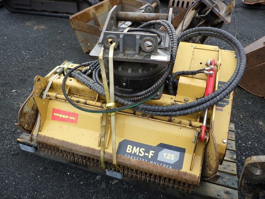 Seppi BMS-F125 - גוזם עשבים ליערות: תמונה 1 Seppi BMS-F125 - גוזם עשבים ליערות: תמונה 1
