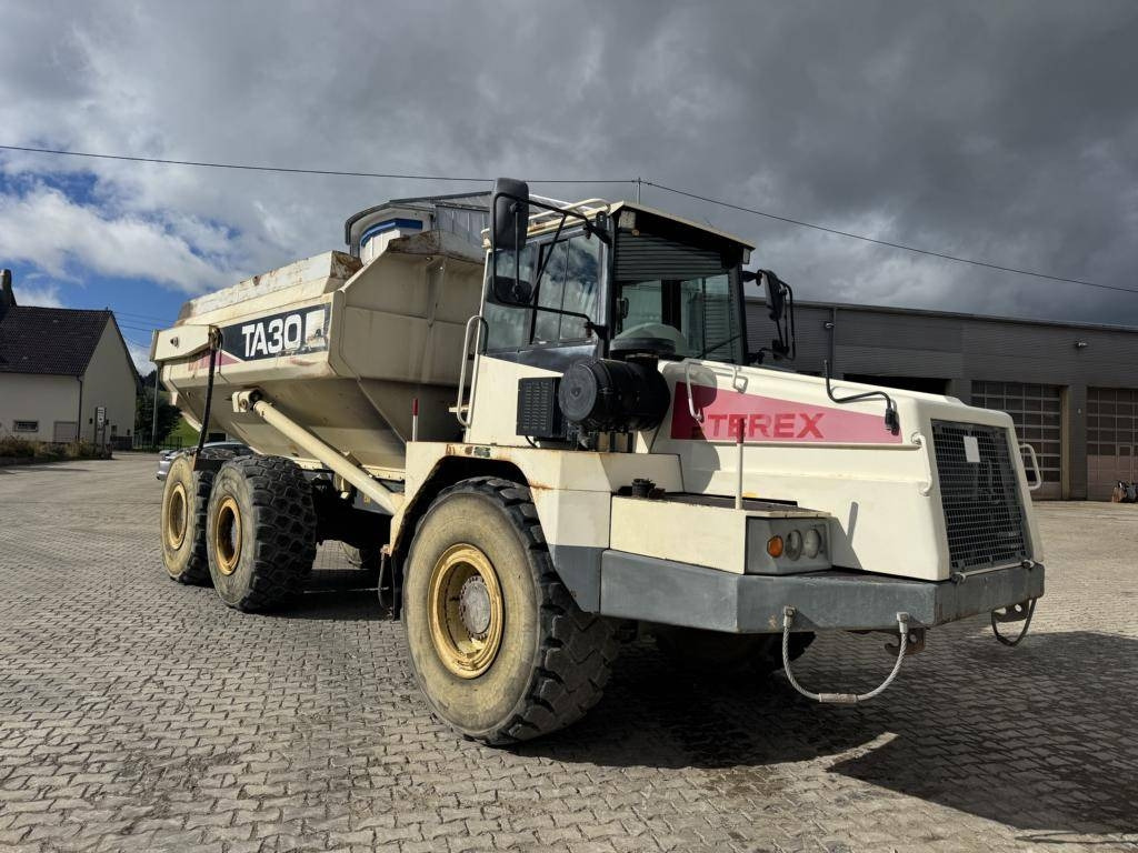 Terex TA 30  - מסיר פסולת מפרקי: תמונה 1 Terex TA 30  - מסיר פסולת מפרקי: תמונה 1