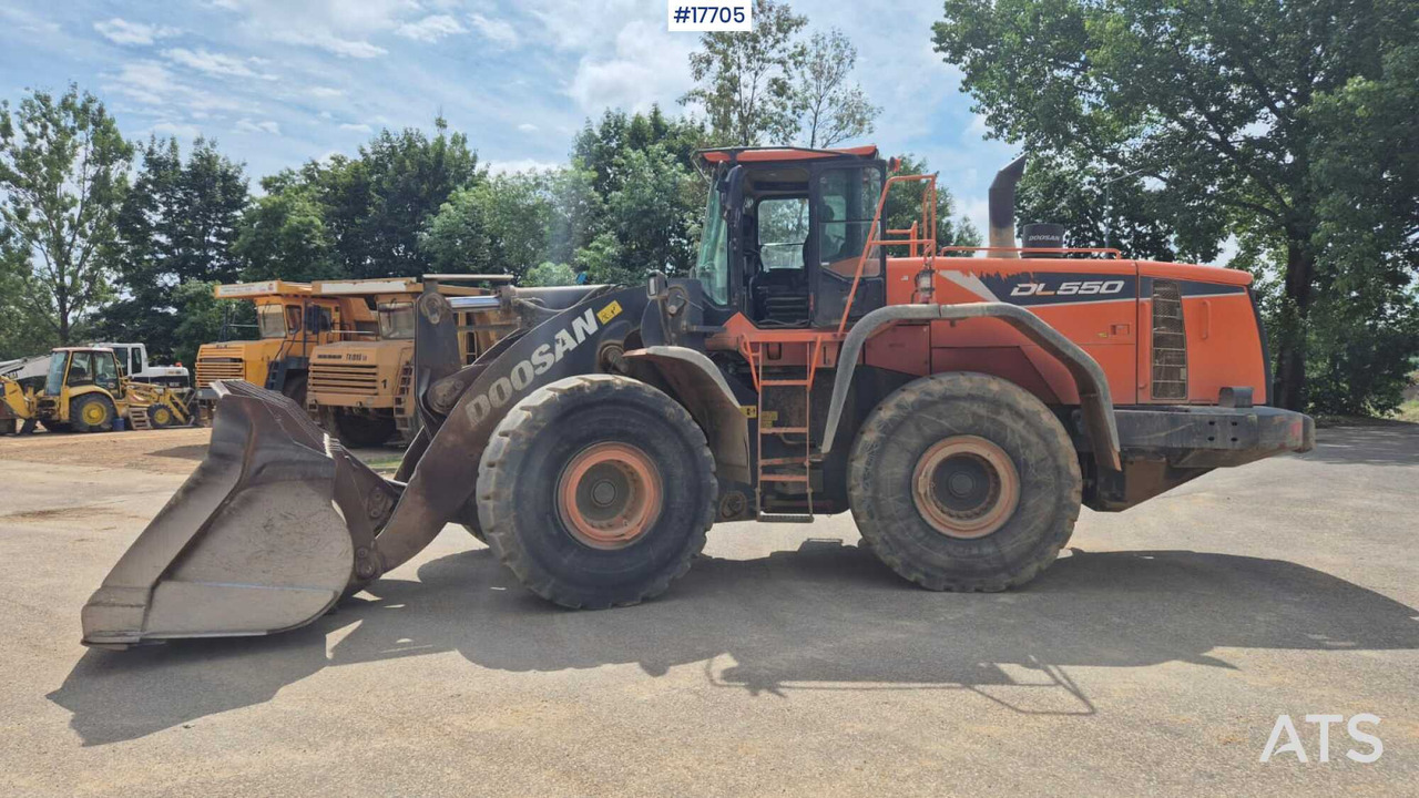 2019 Doosan  DL550-5 - מעמיס גלגלים: תמונה 1 2019 Doosan  DL550-5 - מעמיס גלגלים: תמונה 1