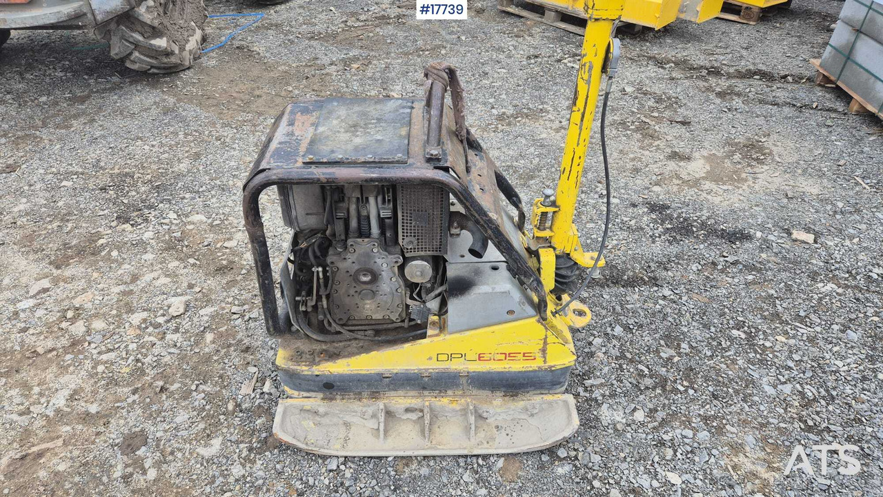 Wacker Neuson DPU 6055 Compactor (2008) - לוח רטט: תמונה 5 Wacker Neuson DPU 6055 Compactor (2008) - לוח רטט: תמונה 5