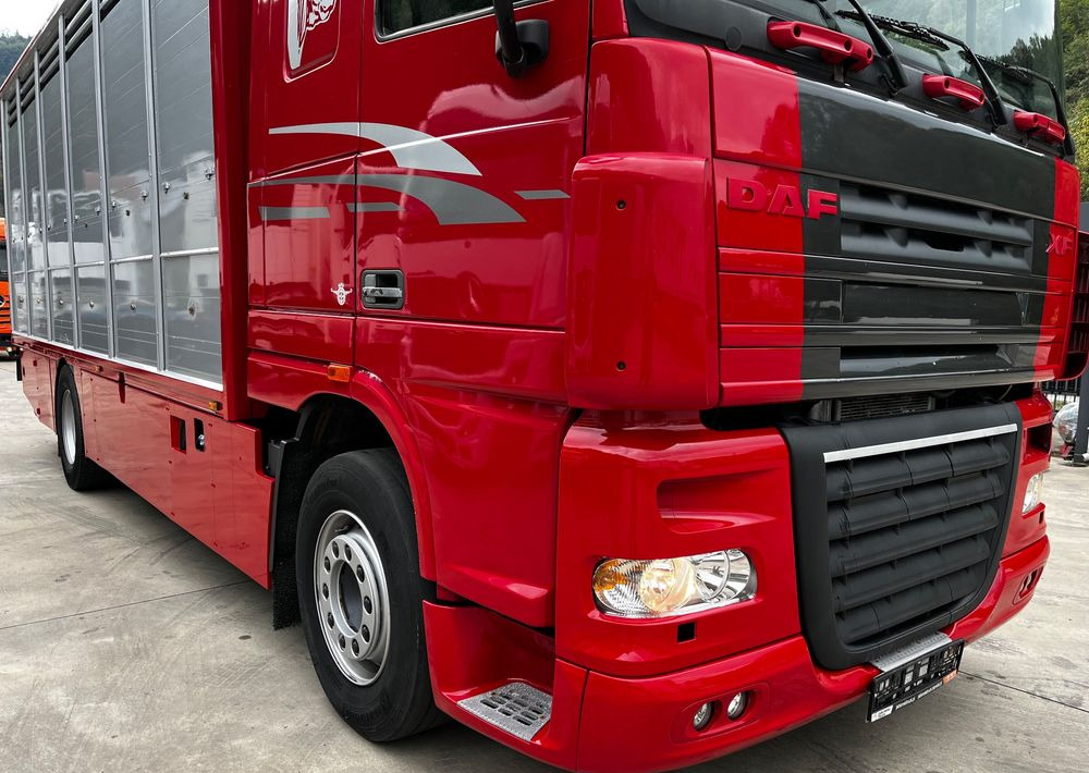DAF XF 105.460 Euro 5 // Manual // Retarder // Do Żywca / Bydła / Zwierząt / - משאית להובלת בעלי חיים: תמונה 3 DAF XF 105.460 Euro 5 // Manual // Retarder // Do Żywca / Bydła / Zwierząt / - משאית להובלת בעלי חיים: תמונה 3