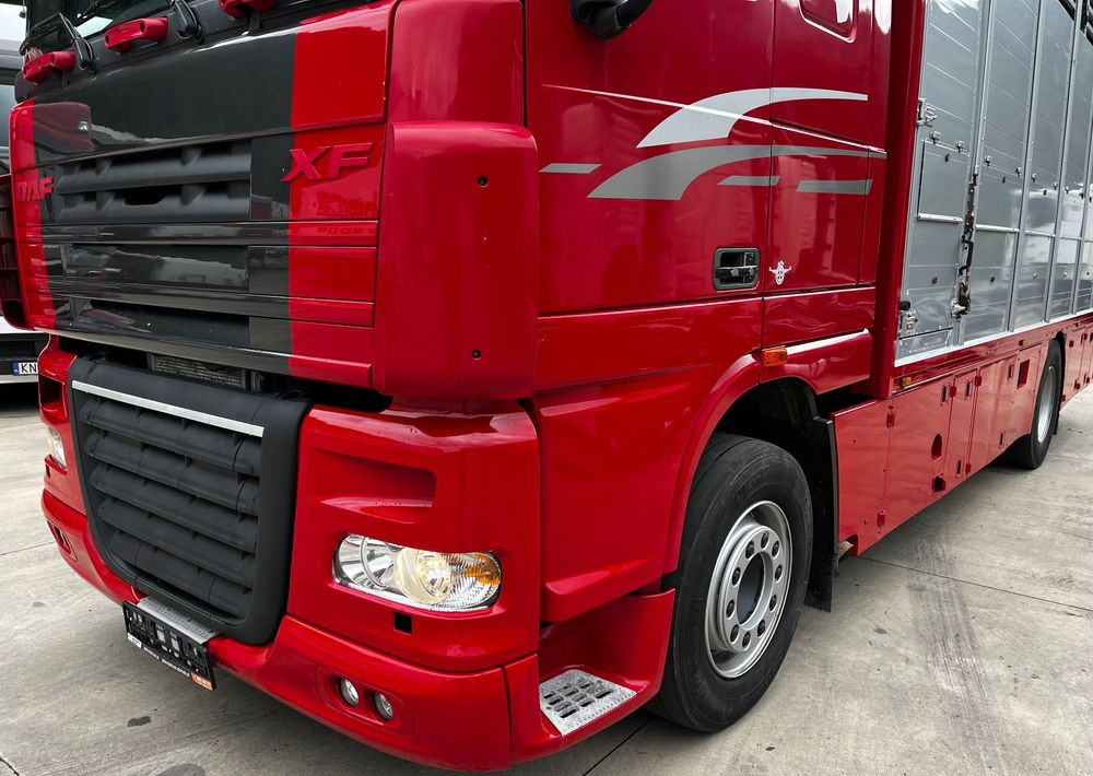 DAF XF 105.460 Euro 5 // Manual // Retarder // Do Żywca / Bydła / Zwierząt / - משאית להובלת בעלי חיים: תמונה 4 DAF XF 105.460 Euro 5 // Manual // Retarder // Do Żywca / Bydła / Zwierząt / - משאית להובלת בעלי חיים: תמונה 4