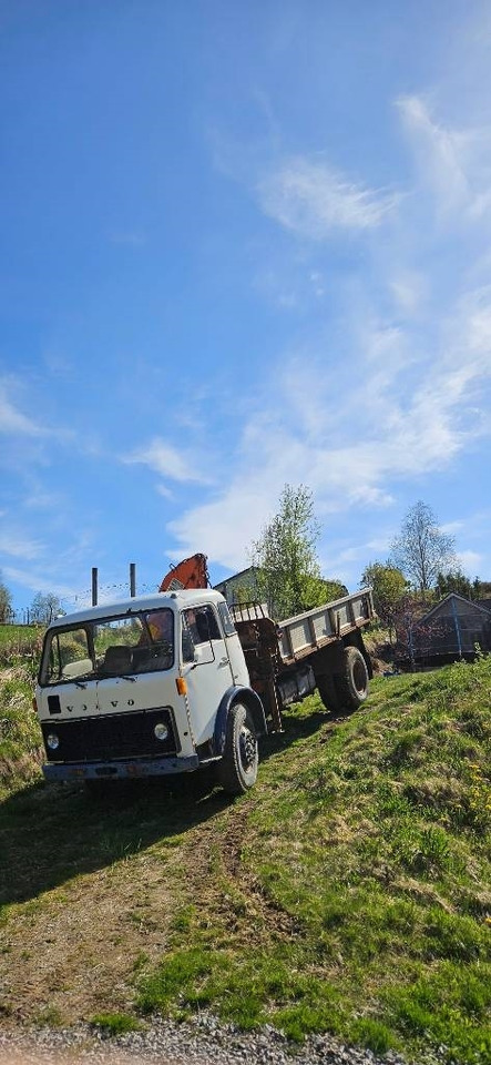 Volvo F 86 42 Hiab 550-2 - משאית מנוף: תמונה 5 Volvo F 86 42 Hiab 550-2 - משאית מנוף: תמונה 5