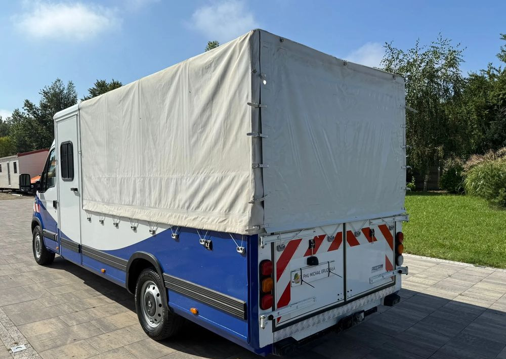 Renault Master - כלי רכב מסחרי קומבי: תמונה 4 Renault Master - כלי רכב מסחרי קומבי: תמונה 4