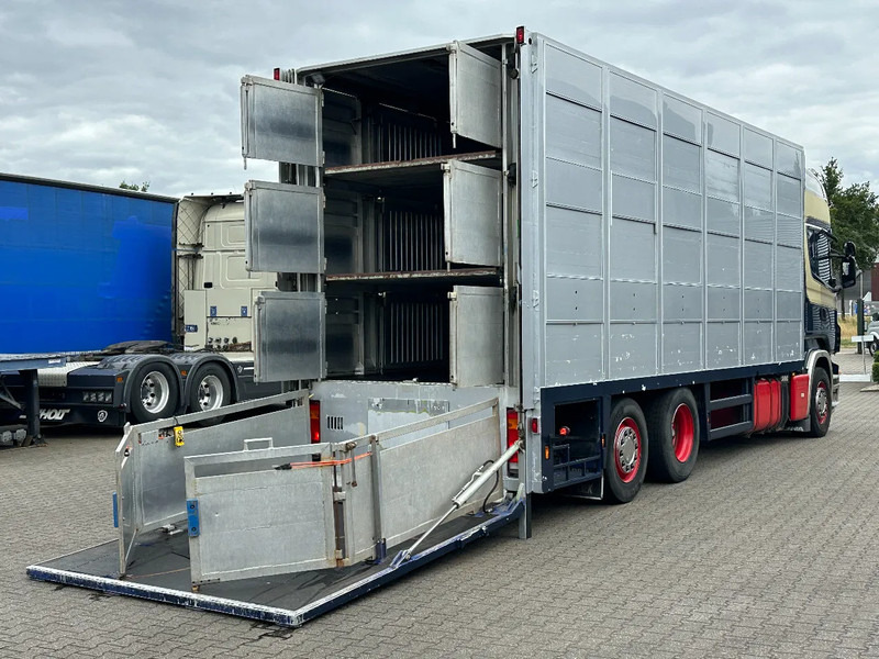 Scania R420 6x2 Topline / 3 Stock Animal Transport / Retarder / Euro 5 - משאית להובלת בעלי חיים: תמונה 5 Scania R420 6x2 Topline / 3 Stock Animal Transport / Retarder / Euro 5 - משאית להובלת בעלי חיים: תמונה 5