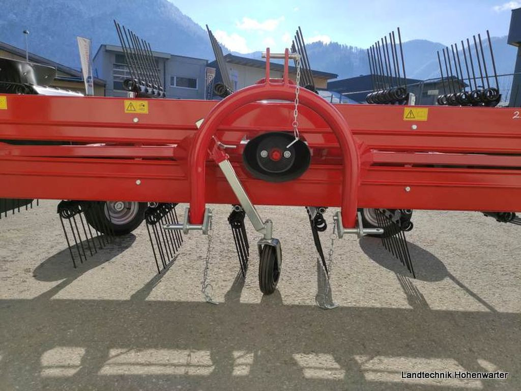 חָדָשׁ גורף/ מגרפה Molon 250/5R Pro zu Reform (15863): תמונה 6