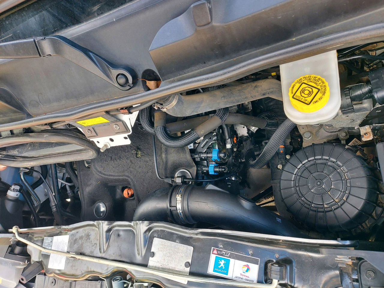 כלי רכב מסחרי במיטה שטוחה, כלי רכב מסחרי קומבי Peugeot Boxer Pritsche Doka. 335 L3 BlueHDi 130 Klima: תמונה 23