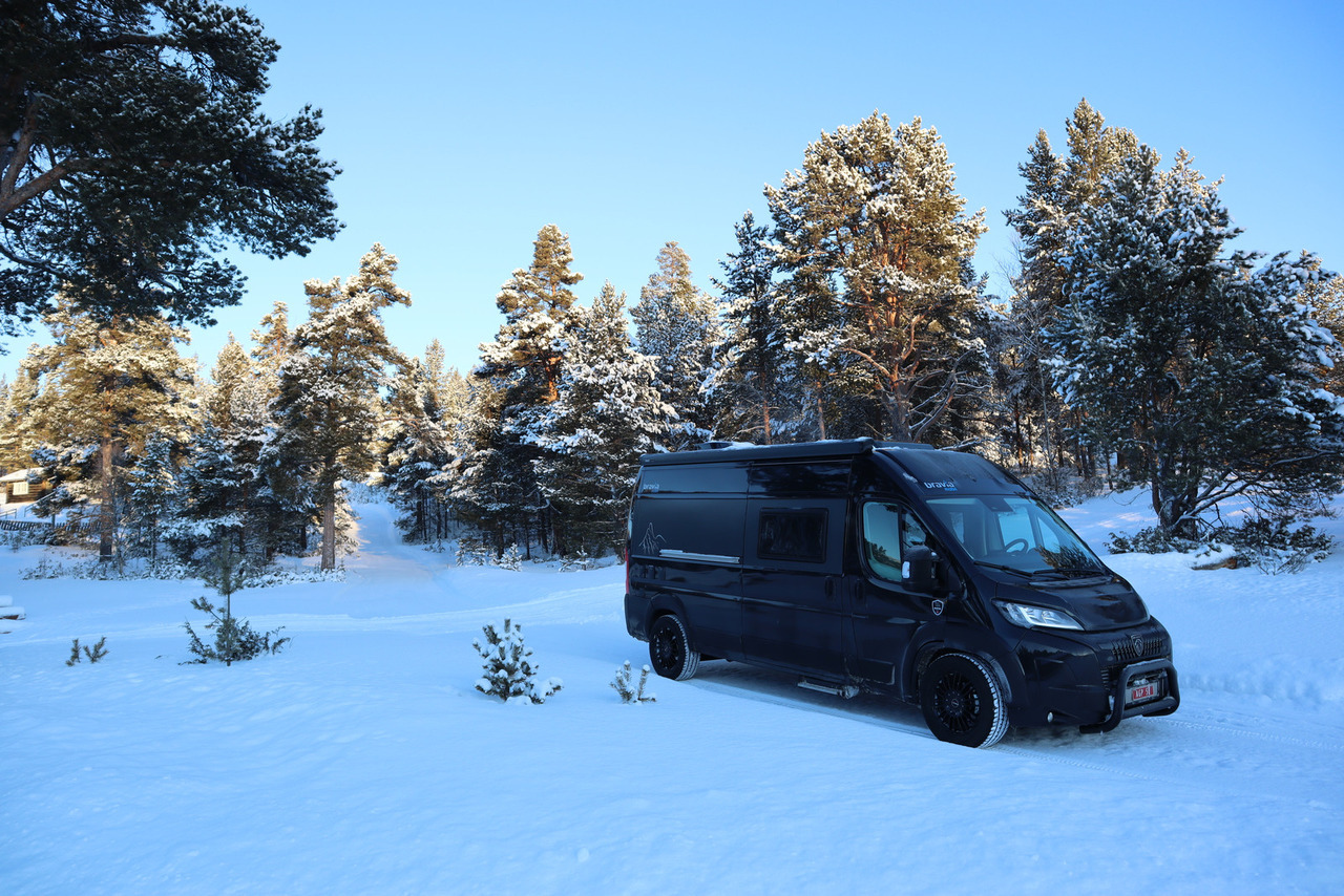 Bravia Swan 599 Nordic - מוטורהום: תמונה 1 Bravia Swan 599 Nordic - מוטורהום: תמונה 1