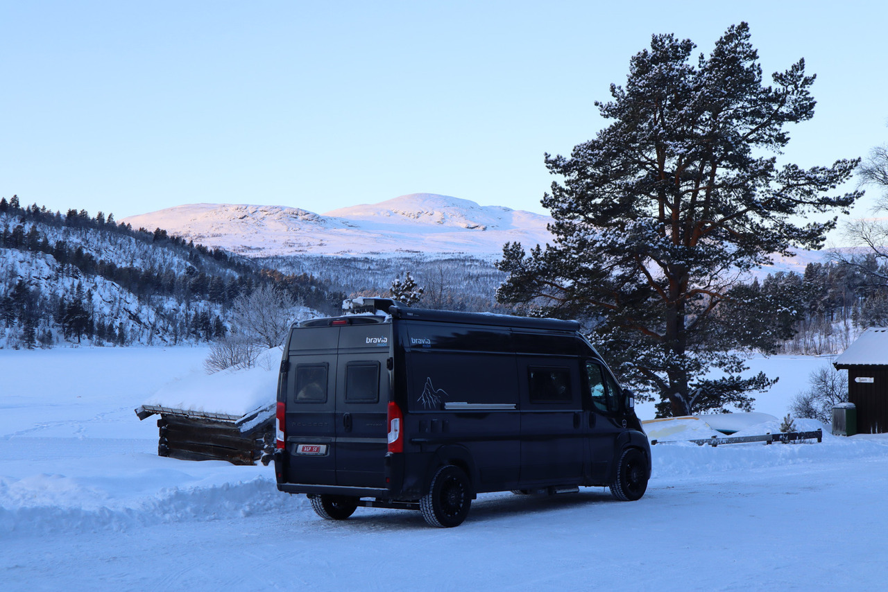 Bravia Swan 599 Nordic - מוטורהום: תמונה 2 Bravia Swan 599 Nordic - מוטורהום: תמונה 2