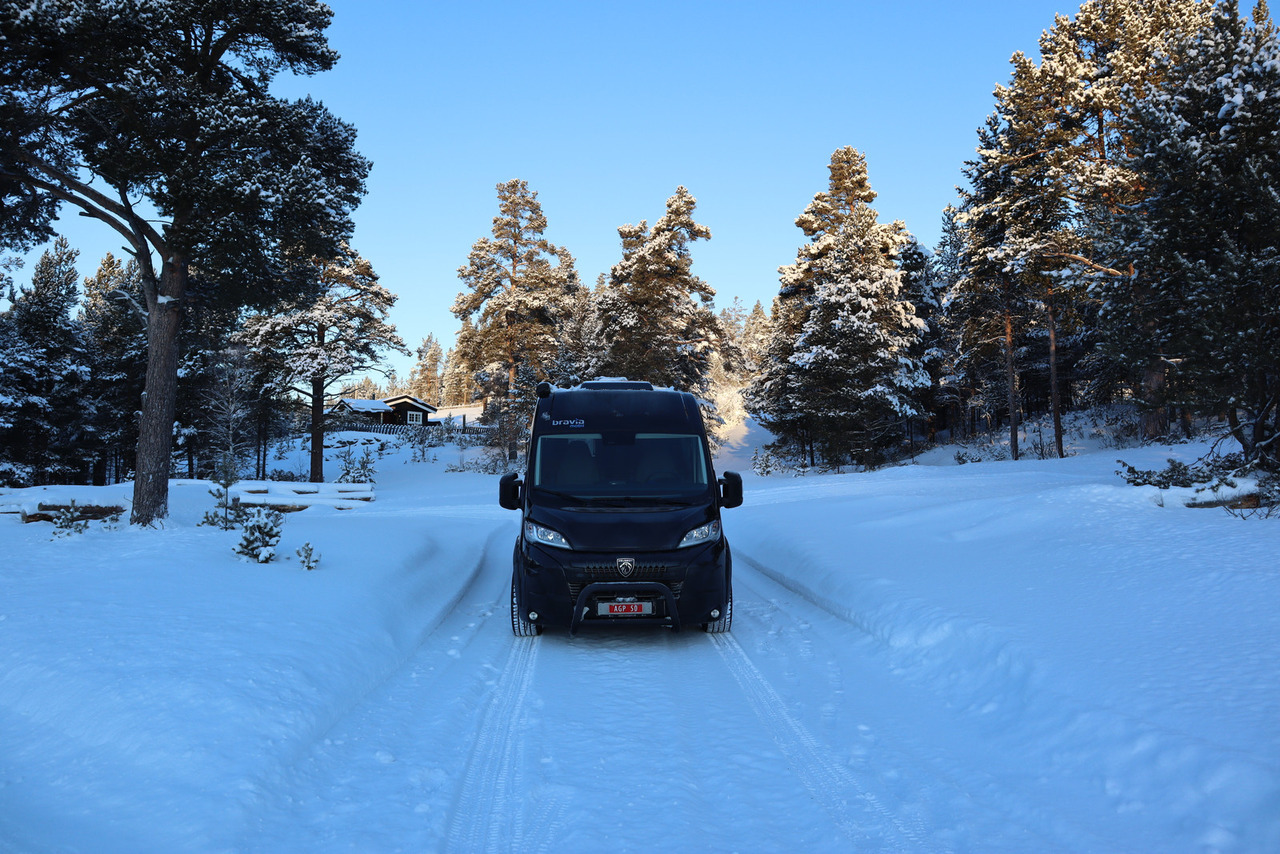 Bravia Swan 599 Nordic - מוטורהום: תמונה 3 Bravia Swan 599 Nordic - מוטורהום: תמונה 3