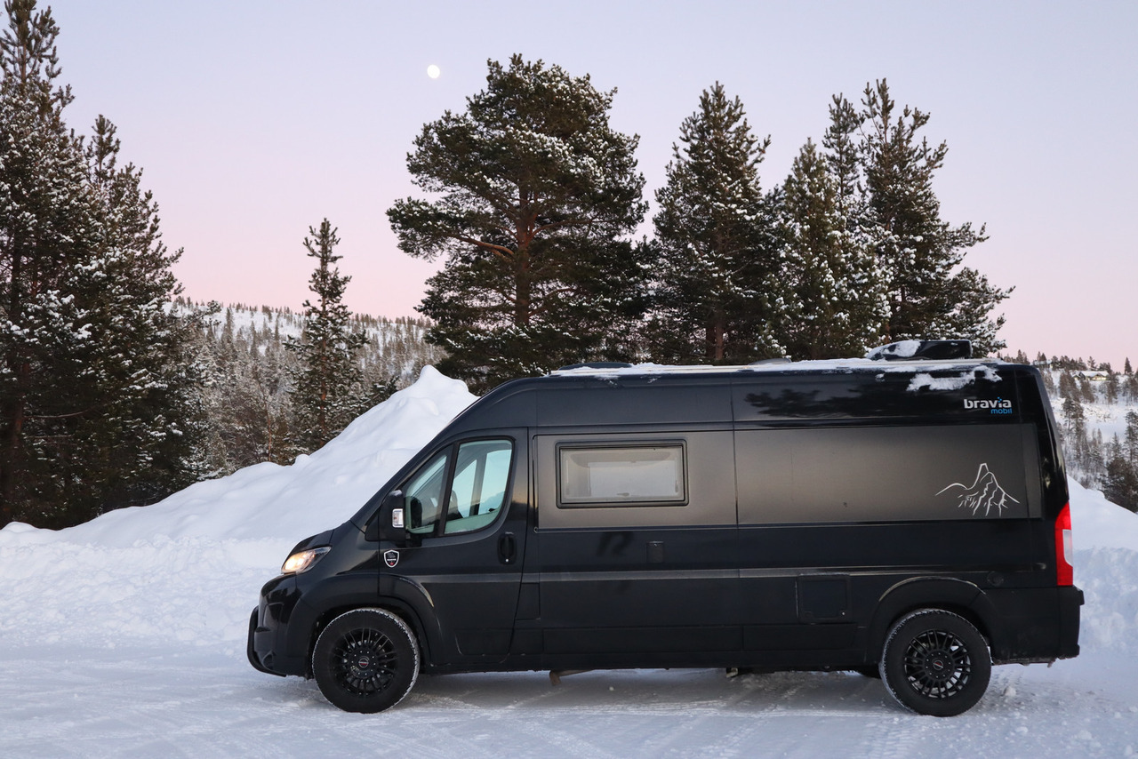 Bravia Swan 599 Nordic - מוטורהום: תמונה 4 Bravia Swan 599 Nordic - מוטורהום: תמונה 4