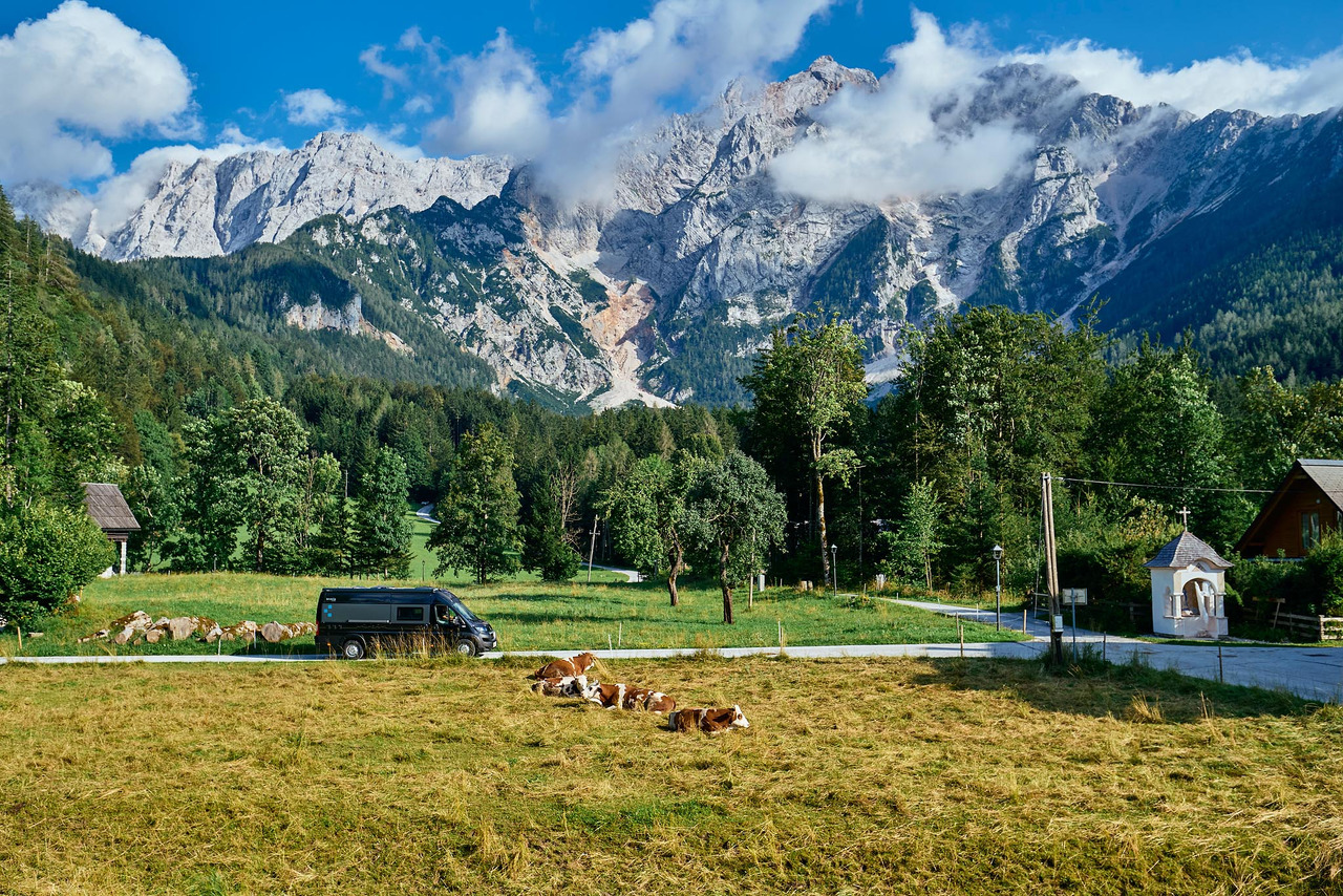 Bravia Swan 599 Nordic - מוטורהום: תמונה 5 Bravia Swan 599 Nordic - מוטורהום: תמונה 5