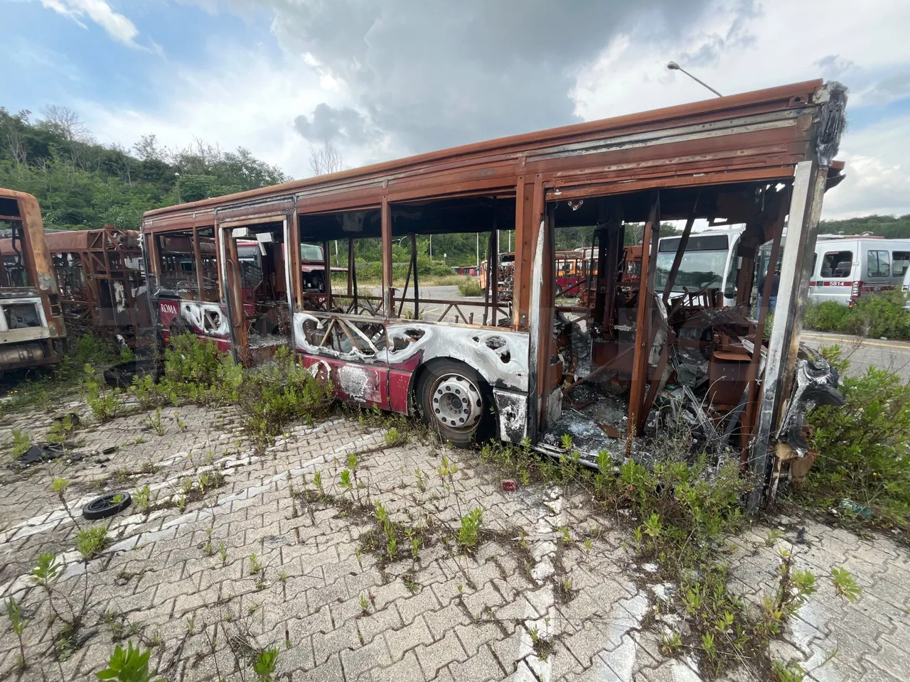 Bundle di 7 mezzi Iveco - Citelis Iveco - Citelis Iveco - Citelis Iveco - Citelis Iveco - Citelis Iveco - Citelis Iveco - Citelis - אוטובוס: תמונה 3 Bundle di 7 mezzi Iveco - Citelis Iveco - Citelis Iveco - Citelis Iveco - Citelis Iveco - Citelis Iveco - Citelis Iveco - Citelis - אוטובוס: תמונה 3