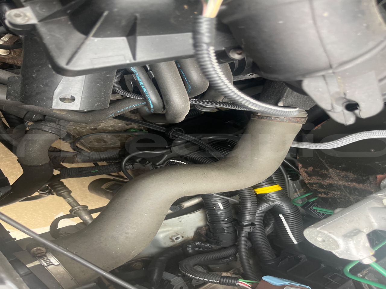 הַחכָּרָה  Nissan Interstar Nissan Interstar: תמונה 14