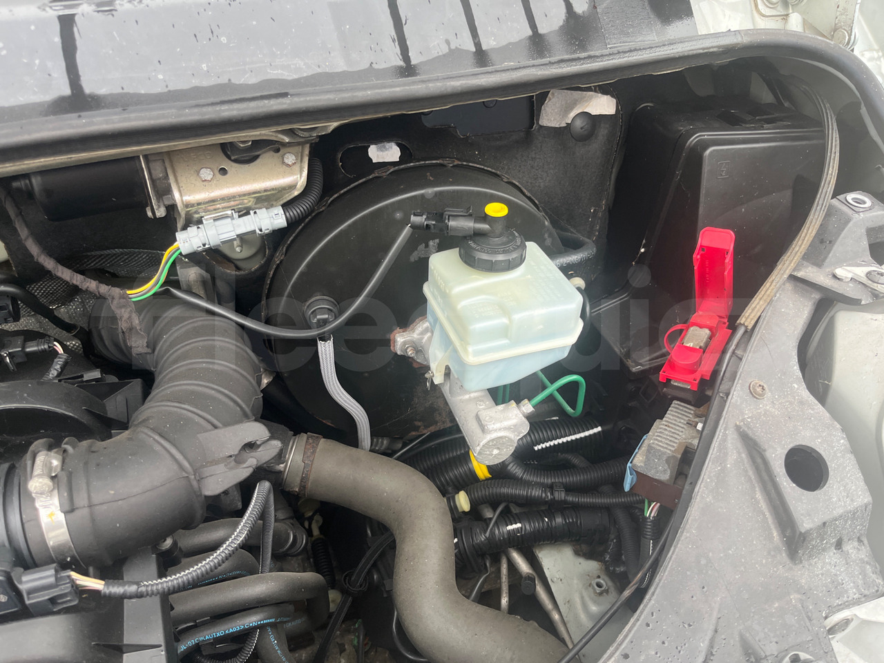 הַחכָּרָה  Nissan Interstar Nissan Interstar: תמונה 12