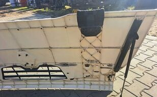 מכסה מנוע עבור משאית Renault Midlum: תמונה 6 מכסה מנוע עבור משאית Renault Midlum: תמונה 6