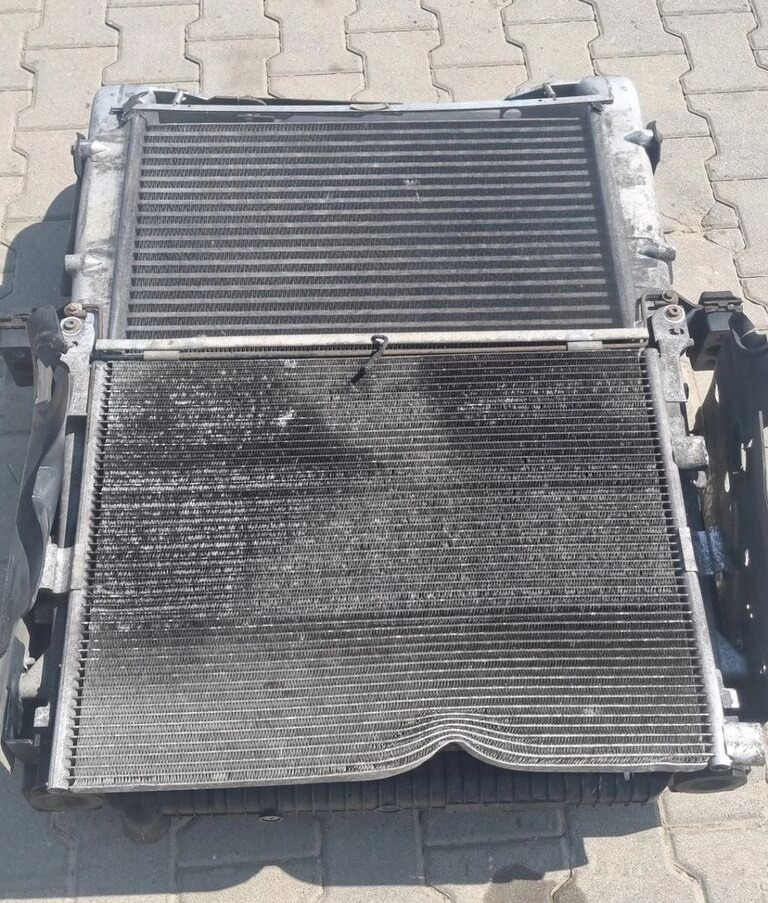 Renault OE Renault RENAULT PREMIUM 2 KERAX LANDER DXI truck - רדיאטור עבור משאית: תמונה 1 Renault OE Renault RENAULT PREMIUM 2 KERAX LANDER DXI truck - רדיאטור עבור משאית: תמונה 1