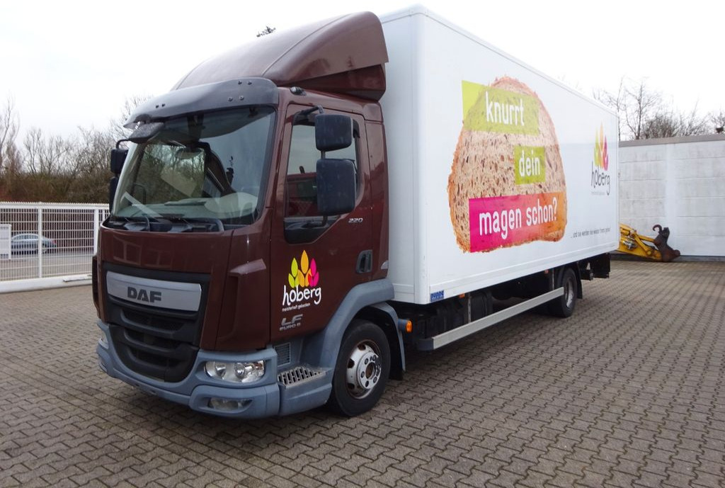 DAF LF 220 Koffer mit Palfinger LBW 4x2 - כלי רכב מסחרי עם תיבה: תמונה 2 DAF LF 220 Koffer mit Palfinger LBW 4x2 - כלי רכב מסחרי עם תיבה: תמונה 2