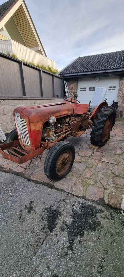 1958 Massey Ferguson MF 35 traktor (rep.-objekt) - טרקטור חקלאי: תמונה 1 1958 Massey Ferguson MF 35 traktor (rep.-objekt) - טרקטור חקלאי: תמונה 1