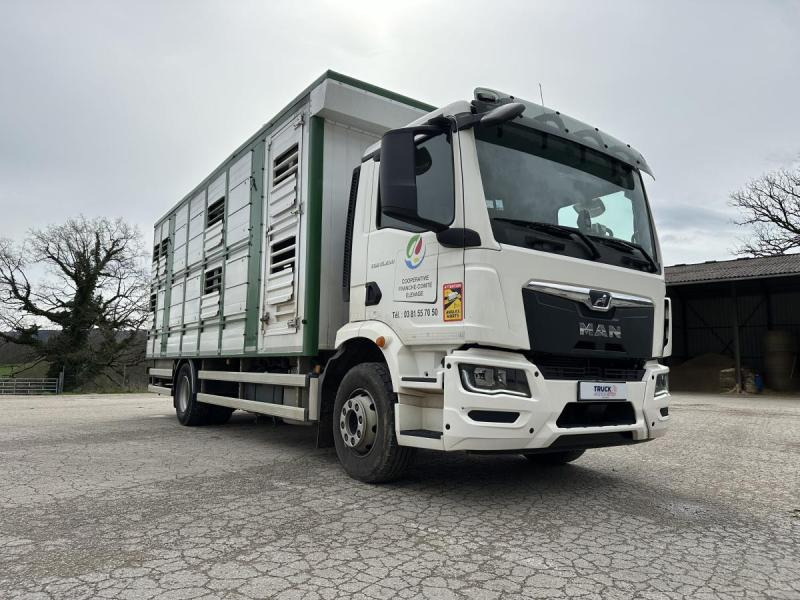 MAN M 90 15.290 TGM - משאית להובלת בעלי חיים: תמונה 4 MAN M 90 15.290 TGM - משאית להובלת בעלי חיים: תמונה 4