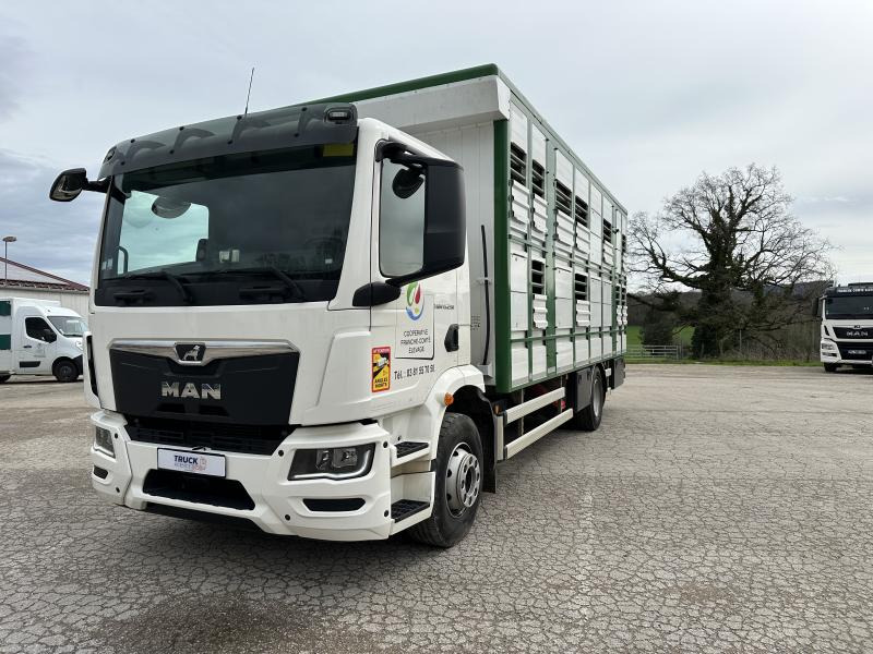 MAN TGM 15.290 - משאית להובלת בעלי חיים: תמונה 1 MAN TGM 15.290 - משאית להובלת בעלי חיים: תמונה 1