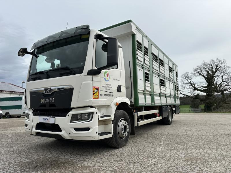 MAN TGM 15.290 - משאית להובלת בעלי חיים: תמונה 3 MAN TGM 15.290 - משאית להובלת בעלי חיים: תמונה 3