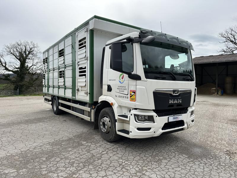 MAN TGM 15.290 - משאית להובלת בעלי חיים: תמונה 2 MAN TGM 15.290 - משאית להובלת בעלי חיים: תמונה 2