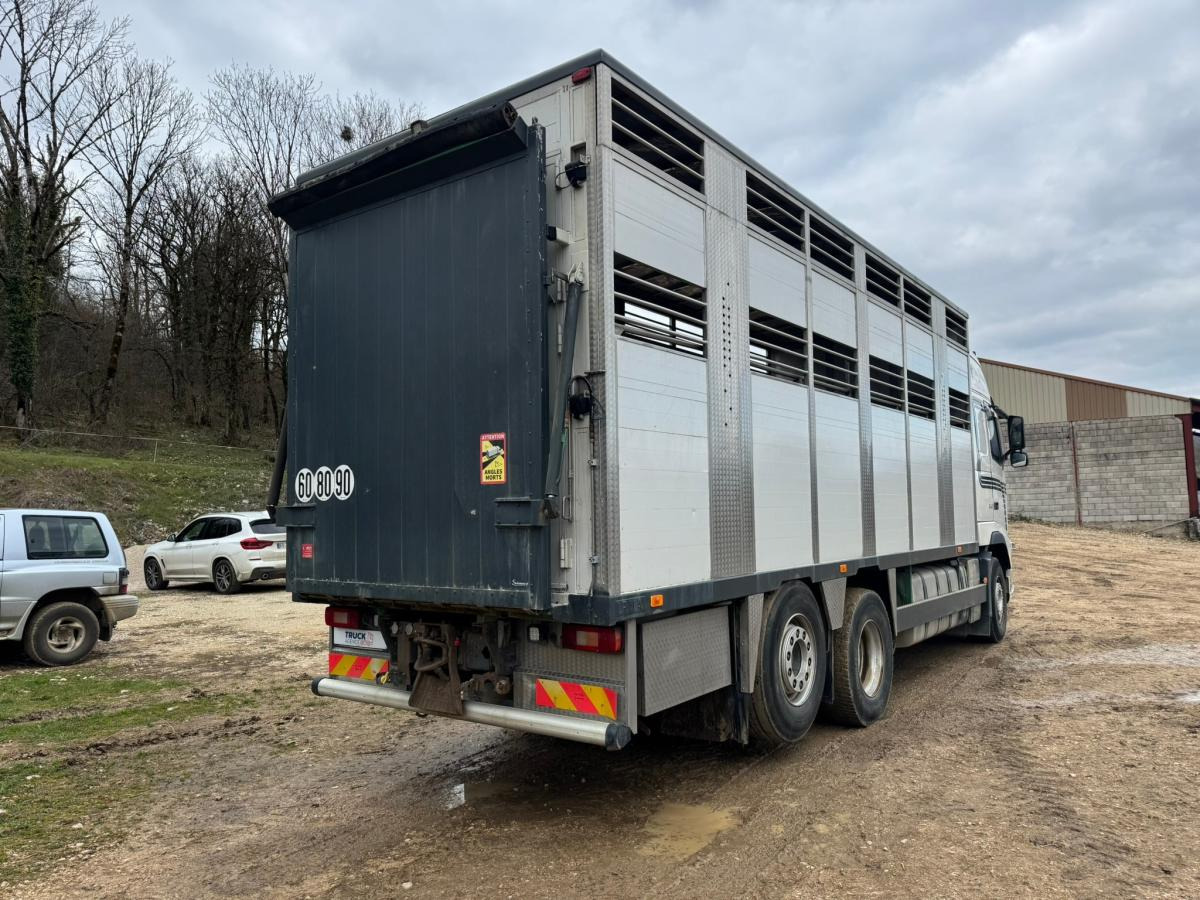Volvo FH 540 - משאית להובלת בעלי חיים: תמונה 5 Volvo FH 540 - משאית להובלת בעלי חיים: תמונה 5