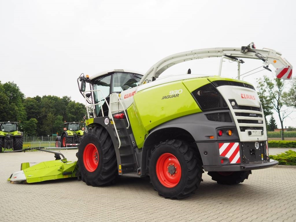 Claas Jaguar 930 + Orbis 600 SD - מקצרת מספוא: תמונה 2 Claas Jaguar 930 + Orbis 600 SD - מקצרת מספוא: תמונה 2