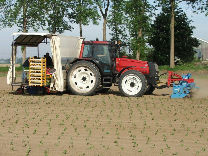 Valtra Valmet Zuidberg Fronthef - טרקטור חקלאי: תמונה 4 Valtra Valmet Zuidberg Fronthef - טרקטור חקלאי: תמונה 4
