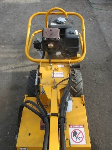 Barreto 1320H - שתיל גינה: תמונה 4 Barreto 1320H - שתיל גינה: תמונה 4