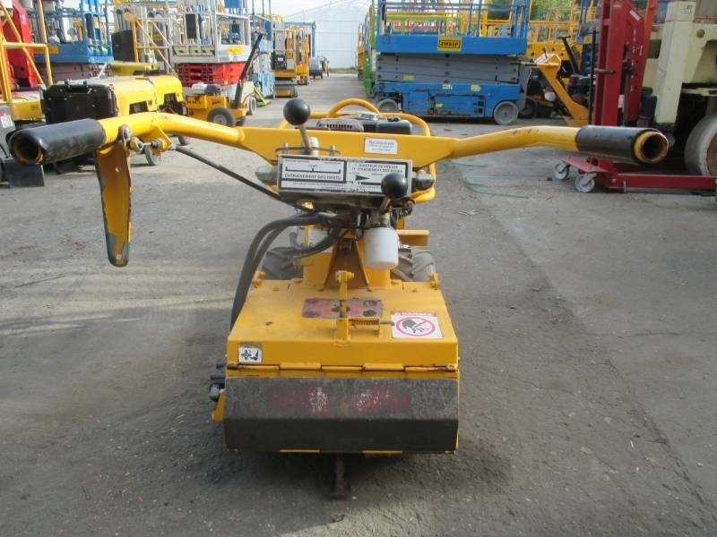 Barreto 1320H - שתיל גינה: תמונה 3 Barreto 1320H - שתיל גינה: תמונה 3