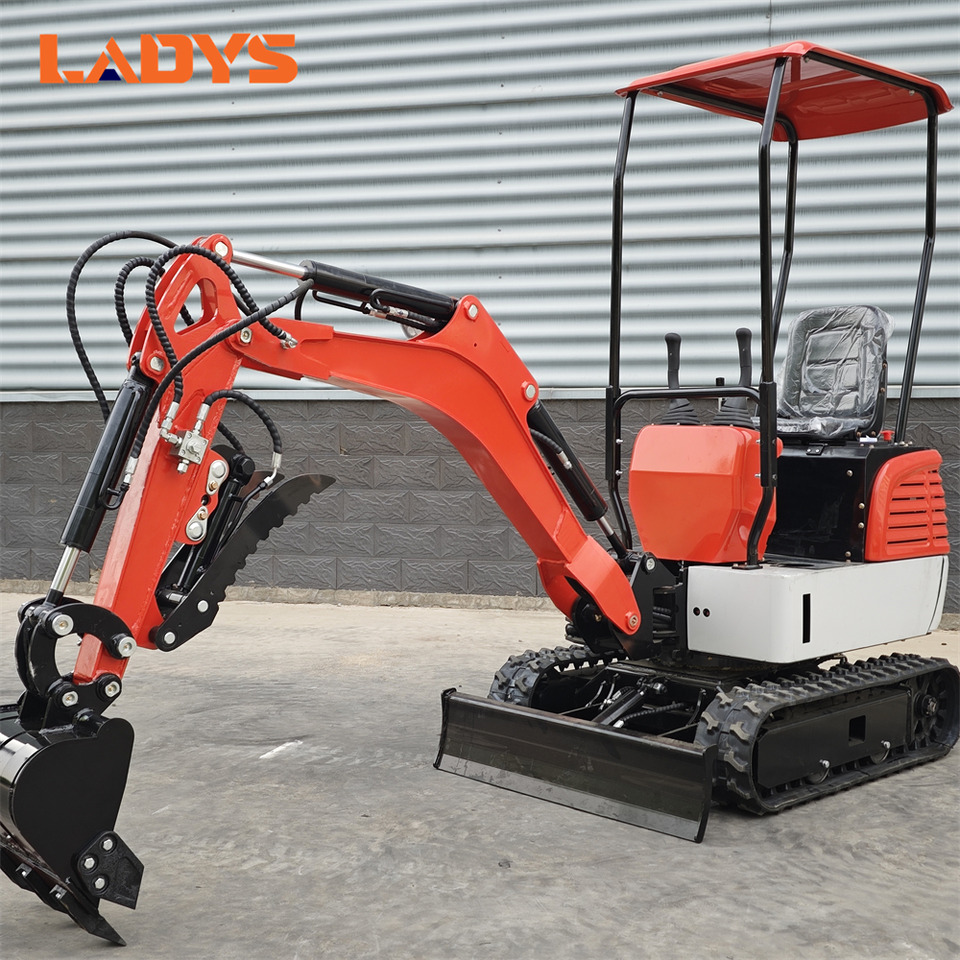 LADYS DY12Pro Mini Excavator Euro 5/Epa Engine Kubota Mini Excavator For Sale - מיני מחפר: תמונה 2 LADYS DY12Pro Mini Excavator Euro 5/Epa Engine Kubota Mini Excavator For Sale - מיני מחפר: תמונה 2