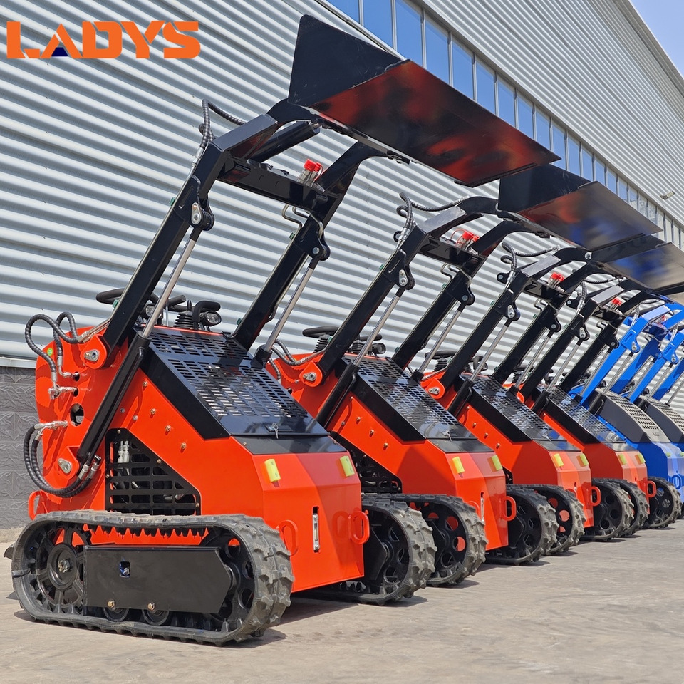 LADYS Free Shipping Mini Skid Steer Loader Compact Track Electric/Diesel Chinese Mini Skid Steer Loader For Sale With Mini Skid Steer Attachments 4 In 1 Bucket - מעמיס היגוי החלקה: תמונה 1 LADYS Free Shipping Mini Skid Steer Loader Compact Track Electric/Diesel Chinese Mini Skid Steer Loader For Sale With Mini Skid Steer Attachments 4 In 1 Bucket - מעמיס היגוי החלקה: תמונה 1