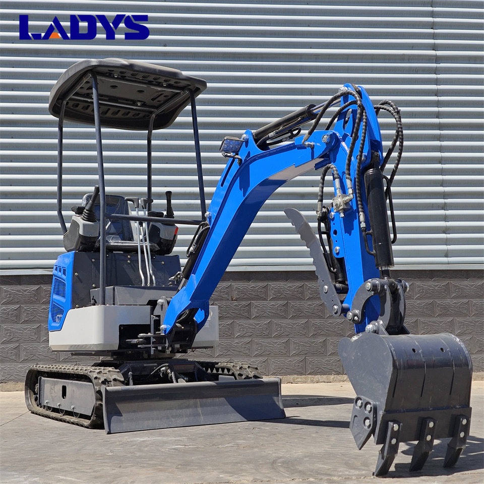 LADYS DY18Mini Excavator Digger Miniexcavadora EPA Kubota Engine Mini Excavator For Sale With Mini Excavator Attachment Set - מחפר סורק: תמונה 4 LADYS DY18Mini Excavator Digger Miniexcavadora EPA Kubota Engine Mini Excavator For Sale With Mini Excavator Attachment Set - מחפר סורק: תמונה 4