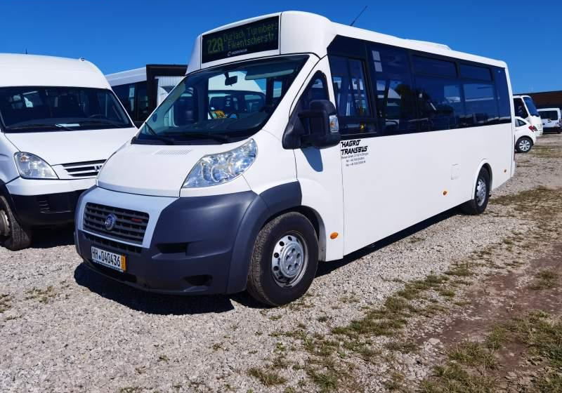 Fiat Ducato miejski, przewóz osób niepełnosprawnych - אוטובוס עירוני: תמונה 1 Fiat Ducato miejski, przewóz osób niepełnosprawnych - אוטובוס עירוני: תמונה 1