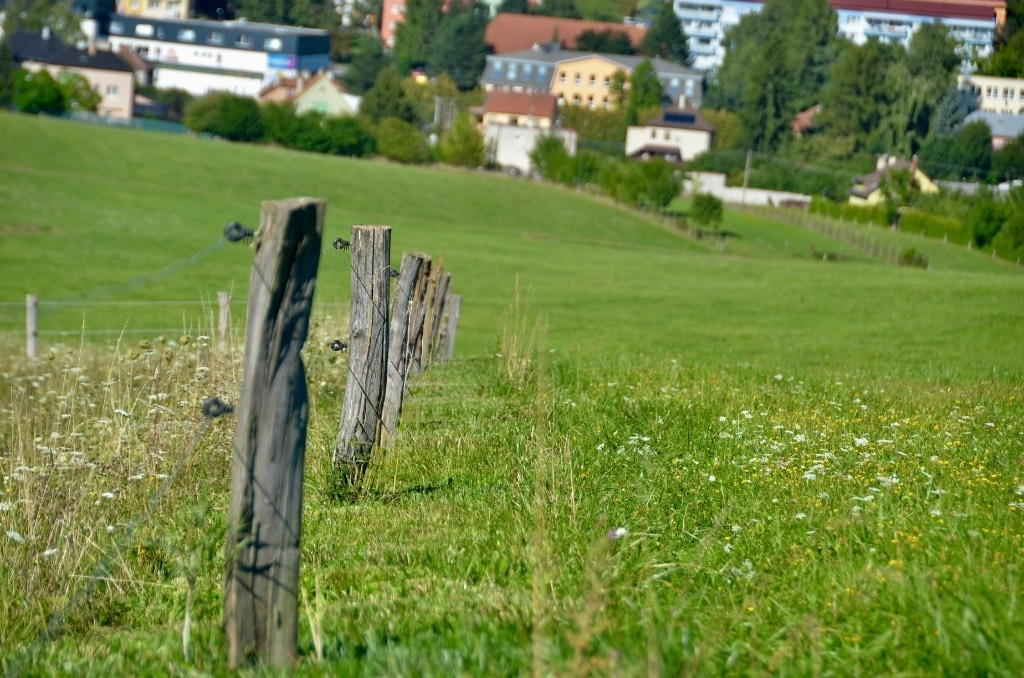 Zaunmäher TriCut A1250 Leitplankenmäher Pfahlmäher - מכסחה: תמונה 4 Zaunmäher TriCut A1250 Leitplankenmäher Pfahlmäher - מכסחה: תמונה 4