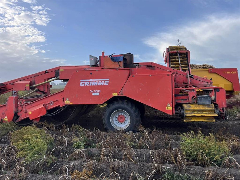 Grimme GV 3000 - מקצרת תפוחי אדמה: תמונה 3 Grimme GV 3000 - מקצרת תפוחי אדמה: תמונה 3