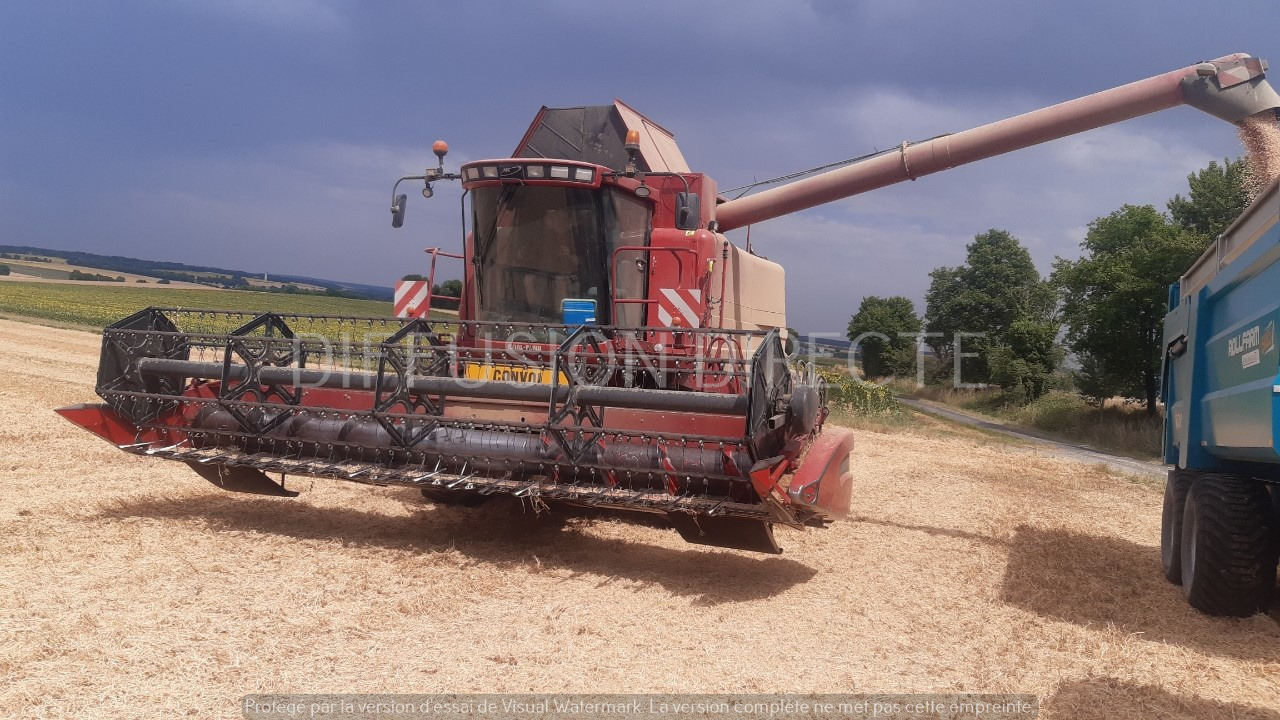 CASE IH MOISSONNEUSE BATTEUSE 2388 X-CLUSIVE - מקצרת קומבינה: תמונה 3 CASE IH MOISSONNEUSE BATTEUSE 2388 X-CLUSIVE - מקצרת קומבינה: תמונה 3