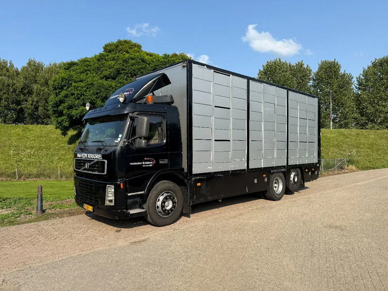 Volvo FM 300 Livestock Cuppers 3 laags 6x2 - משאית להובלת בעלי חיים: תמונה 3 Volvo FM 300 Livestock Cuppers 3 laags 6x2 - משאית להובלת בעלי חיים: תמונה 3