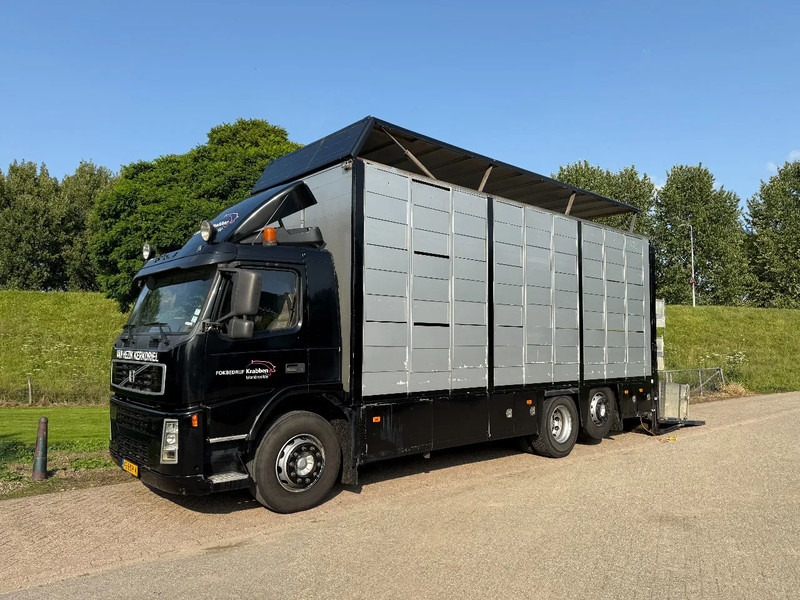 Volvo FM 300 Livestock Cuppers 3 laags 6x2 - משאית להובלת בעלי חיים: תמונה 1 Volvo FM 300 Livestock Cuppers 3 laags 6x2 - משאית להובלת בעלי חיים: תמונה 1