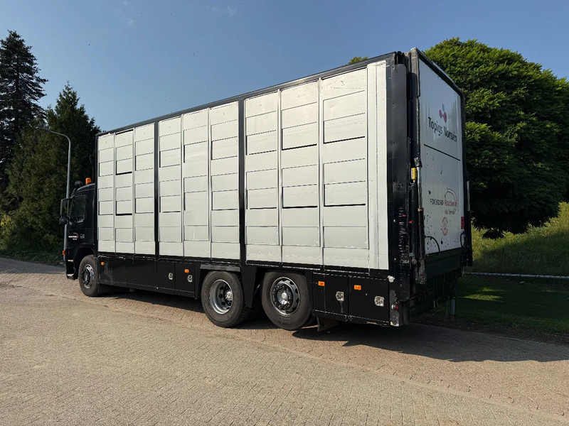 Volvo FM 300 Livestock Cuppers 3 laags 6x2 - משאית להובלת בעלי חיים: תמונה 5 Volvo FM 300 Livestock Cuppers 3 laags 6x2 - משאית להובלת בעלי חיים: תמונה 5