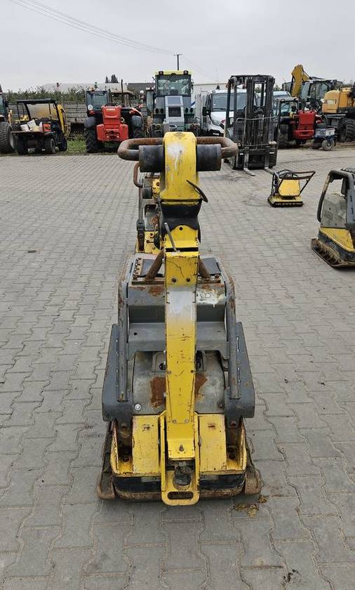 Zagęszczarka Wacker Neuson DPU6555 2017 500 kg - מכונות אחרות: תמונה 3 Zagęszczarka Wacker Neuson DPU6555 2017 500 kg - מכונות אחרות: תמונה 3