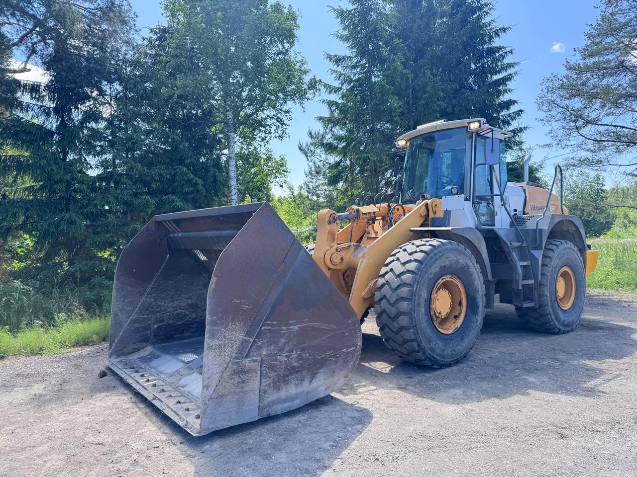 Liebherr L544 - מעמיס גלגלים: תמונה 1 Liebherr L544 - מעמיס גלגלים: תמונה 1