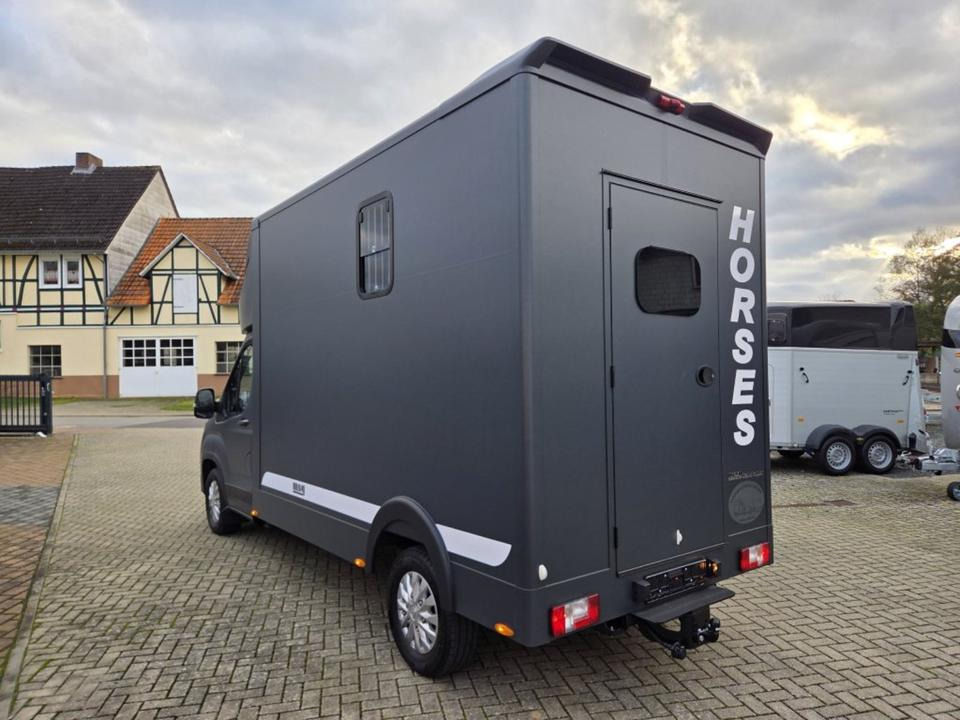 MSG Stablehopper Pferdetransporter Pferdeanhänger Böckmann - משאית סוסים: תמונה 4 MSG Stablehopper Pferdetransporter Pferdeanhänger Böckmann - משאית סוסים: תמונה 4