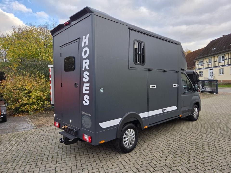 MSG Stablehopper Pferdetransporter Pferdeanhänger Böckmann - משאית סוסים: תמונה 3 MSG Stablehopper Pferdetransporter Pferdeanhänger Böckmann - משאית סוסים: תמונה 3